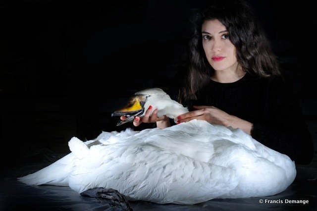 Les coulisses des taxidermistes du Museum National d’Histoire Naturelle.