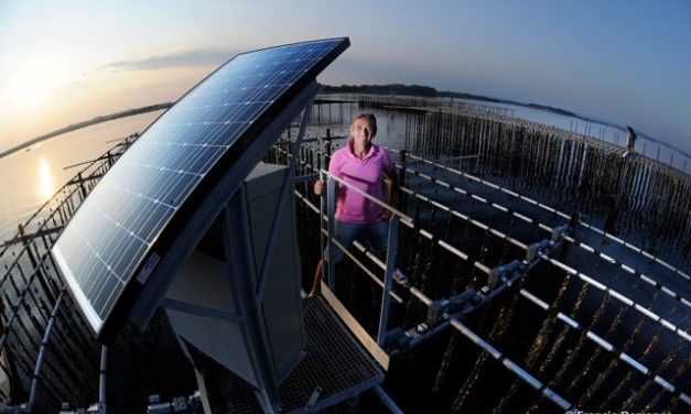 DES HUITRES SOLAIRES Recréer la marée en Méditerranée