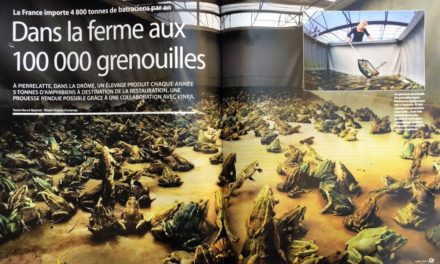 DANS LA FERME AUX 100000 GRENOUILLES. Magazine “ÇA M’INTÉRESSE” (4 pages) , Avril 2017.