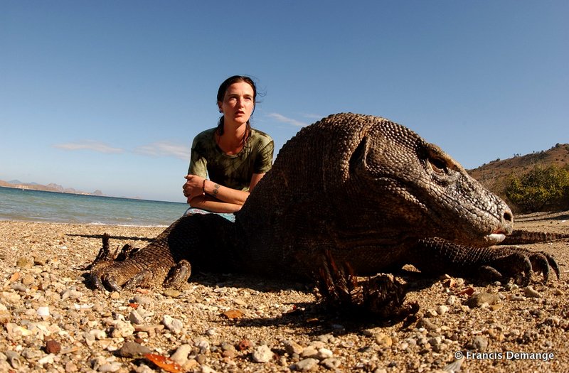 Komodo / Indonésie La Rebelle et le Dragon