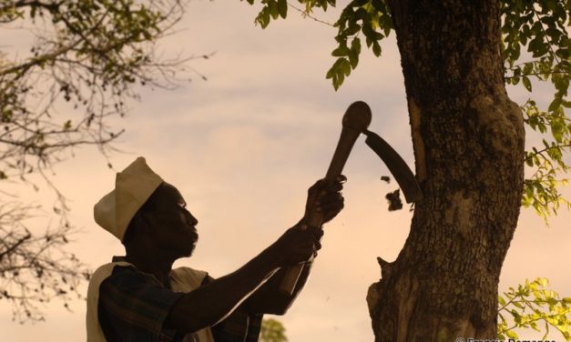 LES SECRETS DE BEAUTE DE MARC OLIVIER,ETHNOBOTANISTE