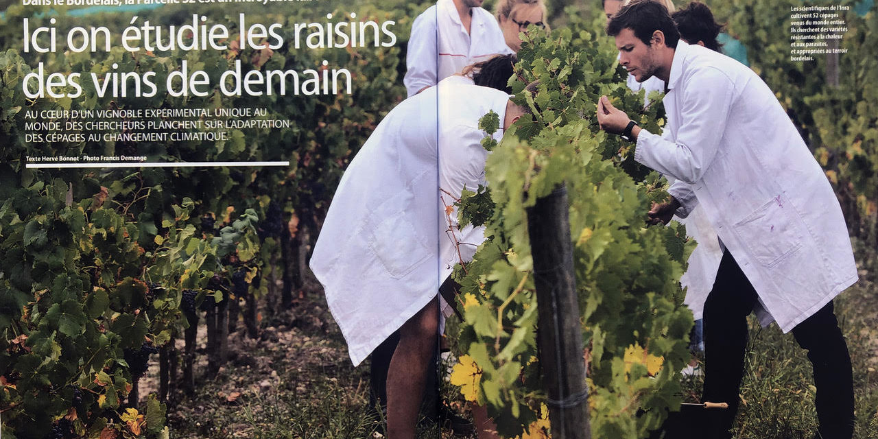 “Ici on étudie les raisins des vins de demain” – Ca m’intéresse – Septembre 2019 – 4 pages