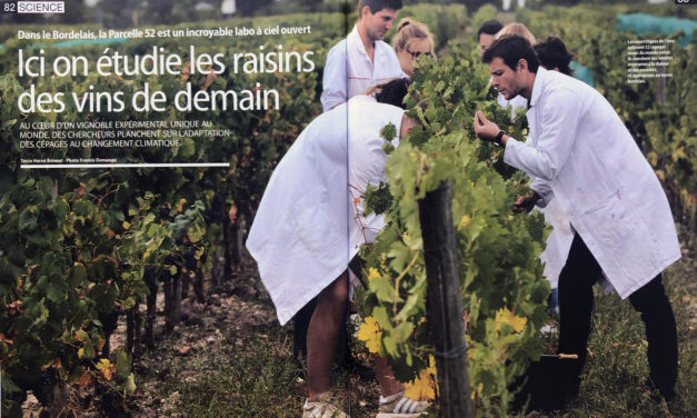 “Ici on étudie les raisins des vins de demain” – Ca m’intéresse – Septembre 2019 – 4 pages