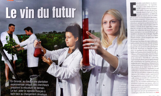 « LE VIN DU FUTUR »  Publication septembre 2023 (4 pages) magazine VSD
